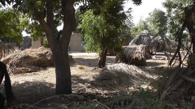 Fahr 10