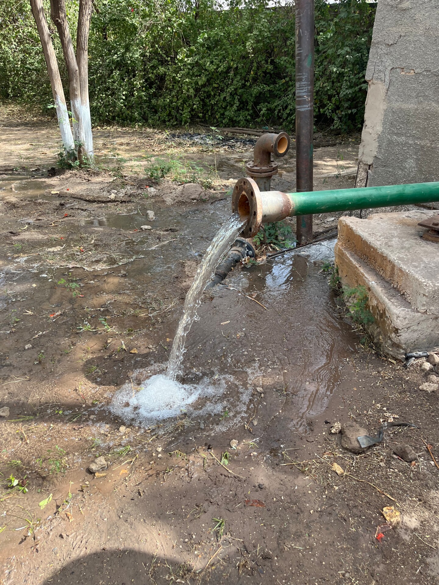 Wasser Marsch!